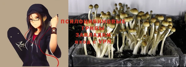 марки lsd Алексин