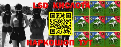 ALPHA PVP Гатчина