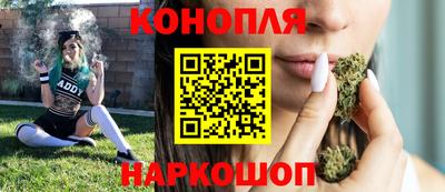 ALPHA PVP Гатчина