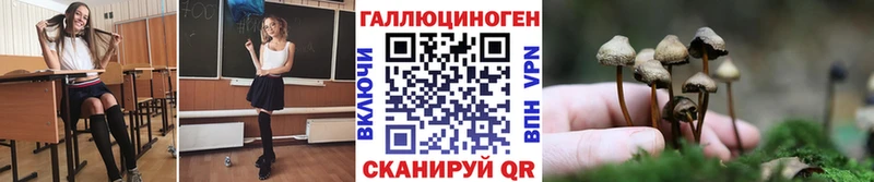 ссылка на мегу рабочий сайт  купить   Алушта  Галлюциногенные грибы GOLDEN TEACHER 
