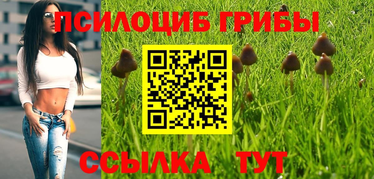 Галлюциногенные грибы Cubensis  Вход с VPN  Алушта 